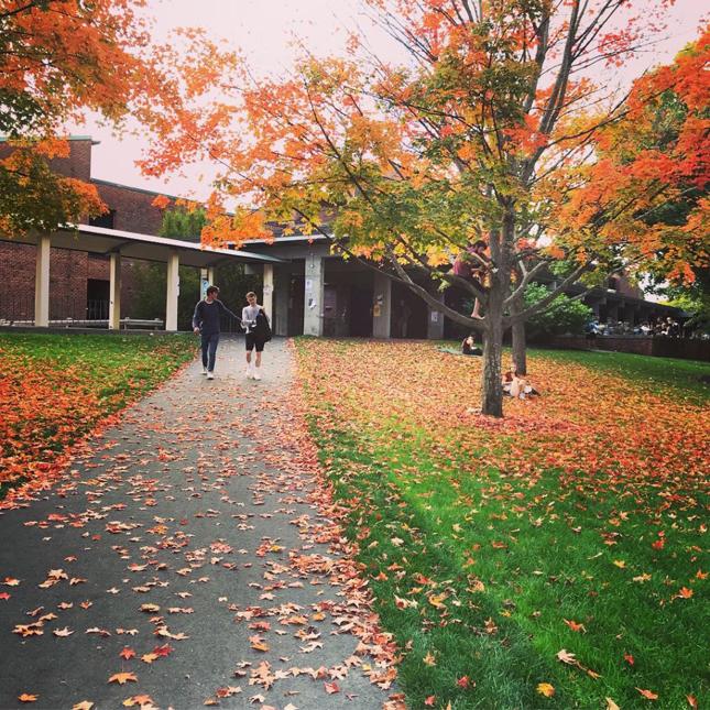 Skidmore campus in the fall